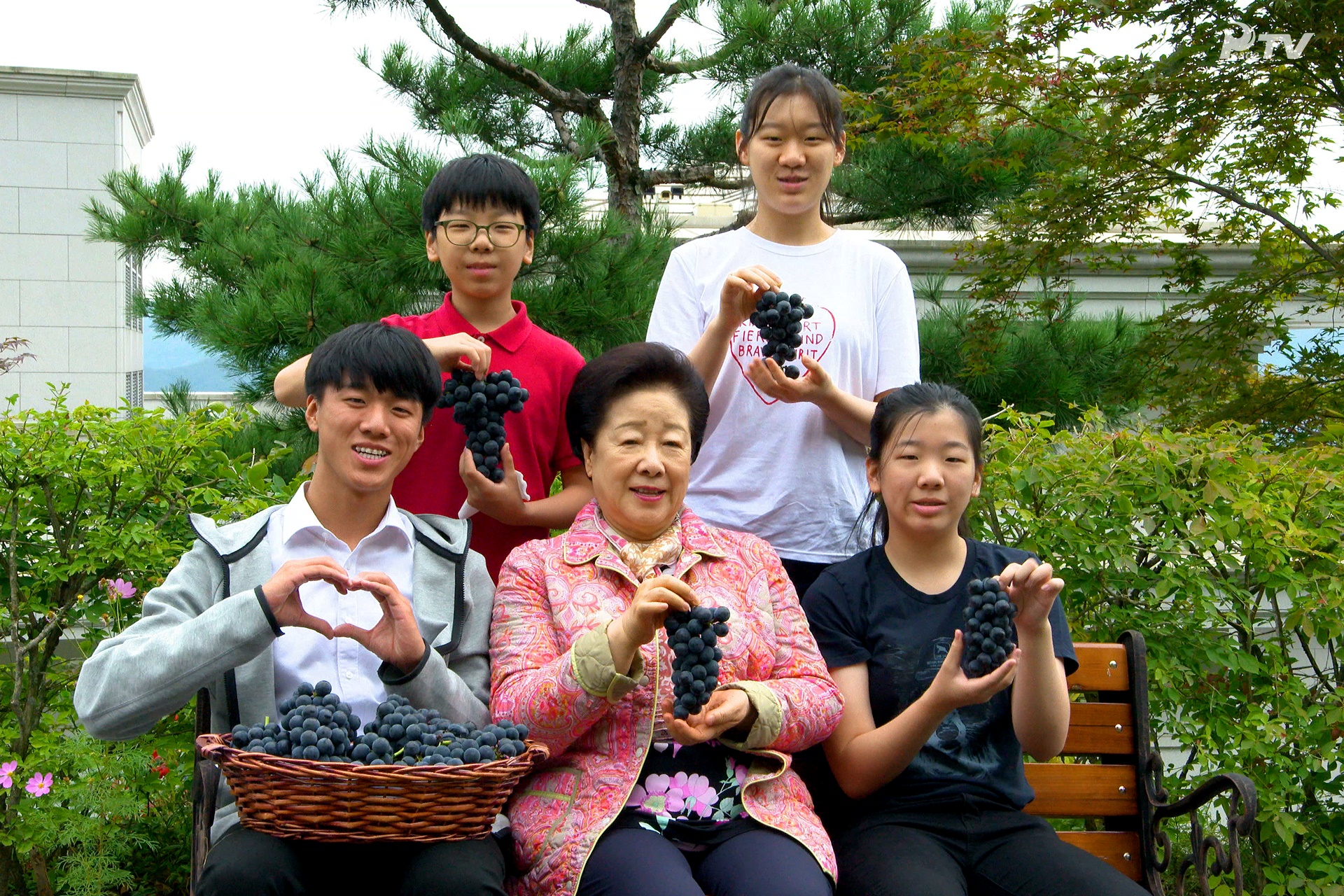 True Family members harvesting grapes and apples on the grounds of Cheon Jeong Gung Sept. 21, 2019